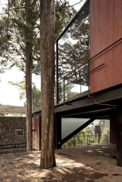 Amazing Treehouse (24 pics)