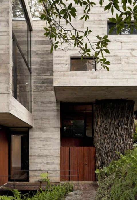 Amazing Treehouse (24 pics)