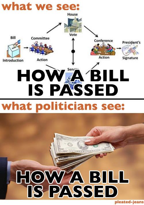 What We See vs. What Politicians See (9 Pics)