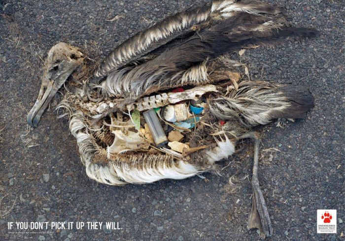 Creative Public Awareness Ads That Makes You Think (60 pics)