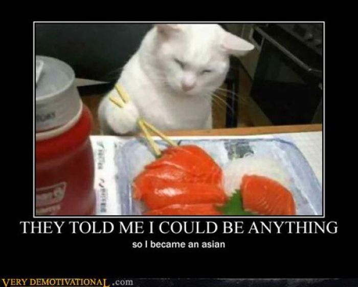 Funny Demotivational Posters (32 pics)
