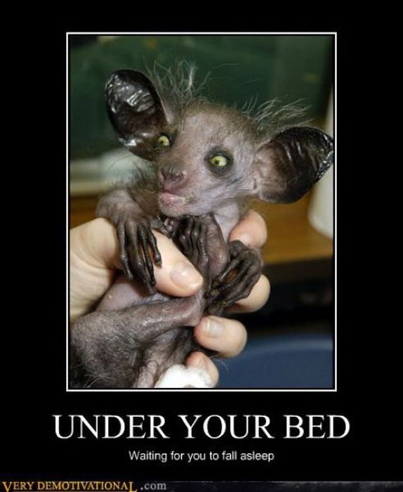 Funny Demotivational Posters (32 pics)