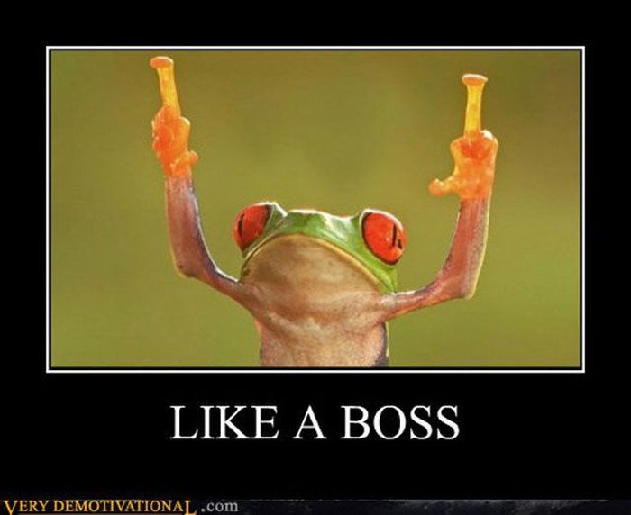 Funny Demotivational Posters (32 pics)
