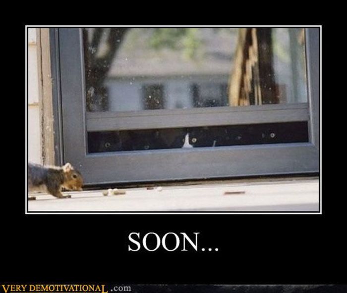 Funny Demotivational Posters (32 pics)