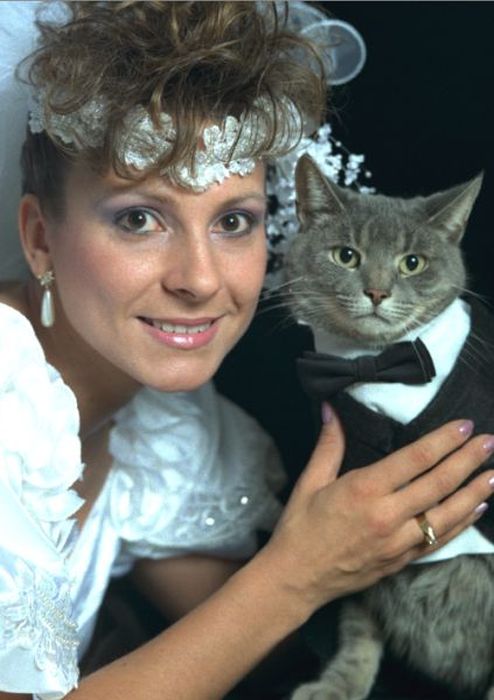 Funny Wedding Pictures (59 pics)