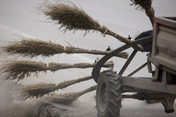 Only in China (4 pics + video)