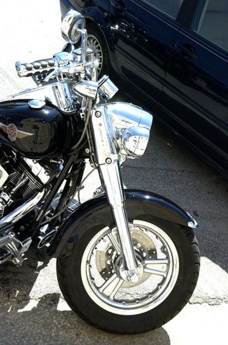 Welcome to Daytona Bike Week (64 pics)