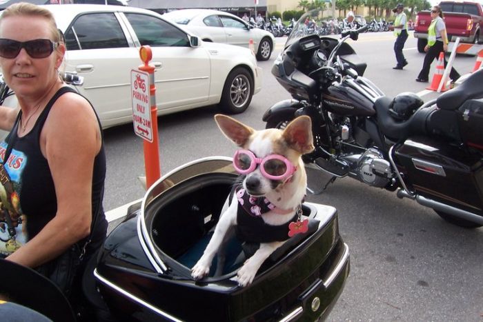 Welcome to Daytona Bike Week (64 pics)