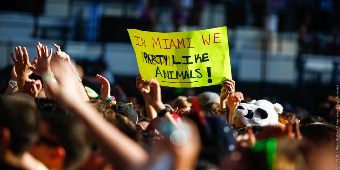 Ultra Music Festival 2012 (100 pics)