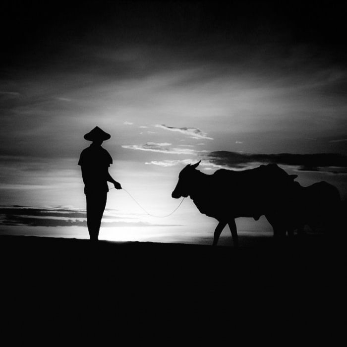 Beautiful Black and White Photos by Hengki Koentjoro (30 pics)