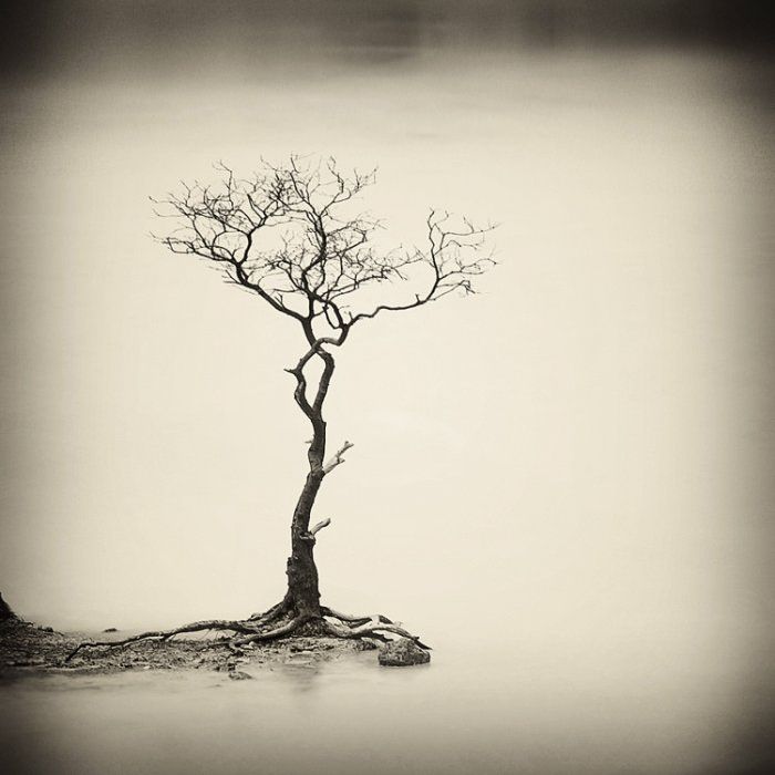 Beautiful Black and White Photos by Hengki Koentjoro (30 pics)