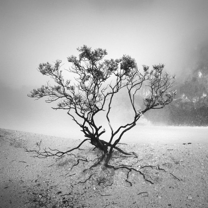 Beautiful Black and White Photos by Hengki Koentjoro (30 pics)