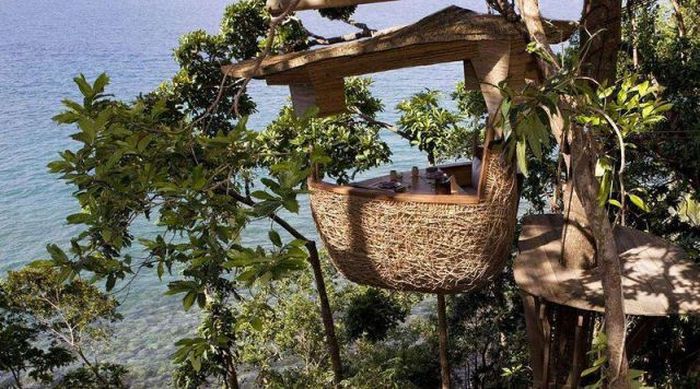 Restaurant at the Treetop (8 pics)