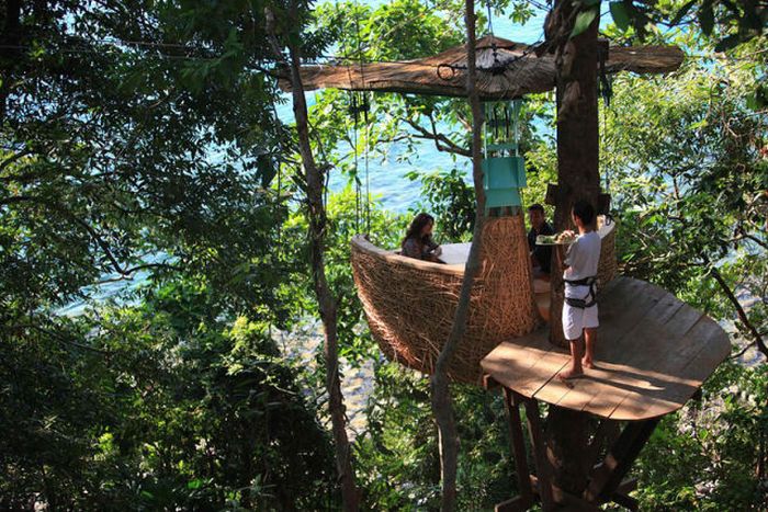 Restaurant at the Treetop (8 pics)