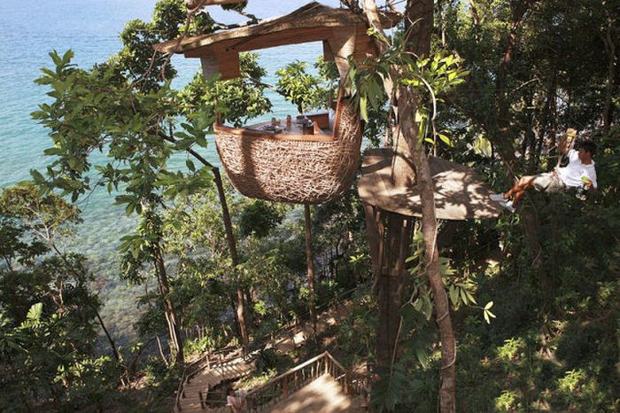 Restaurant at the Treetop (8 pics)