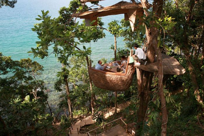 Restaurant at the Treetop (8 pics)