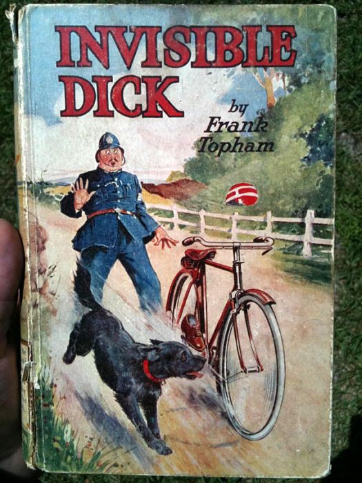 Worst Book Covers and Titles (31 pics)