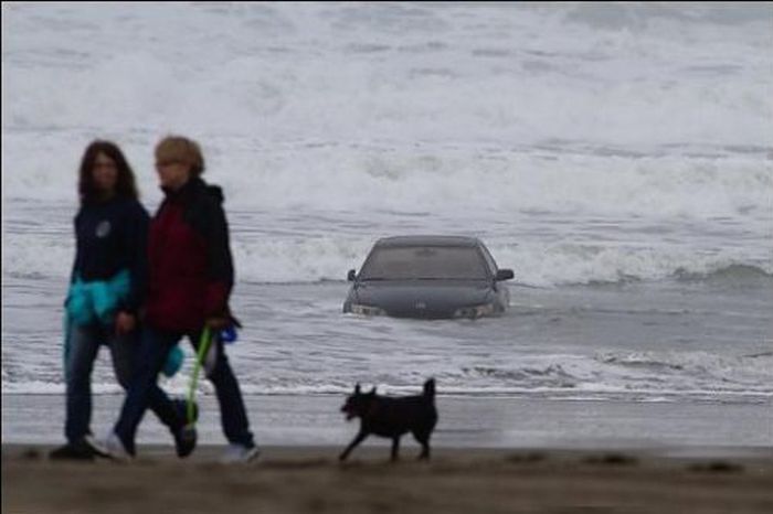 Rare Crashes (29 pics)