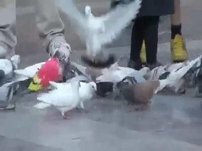 Acid Videos