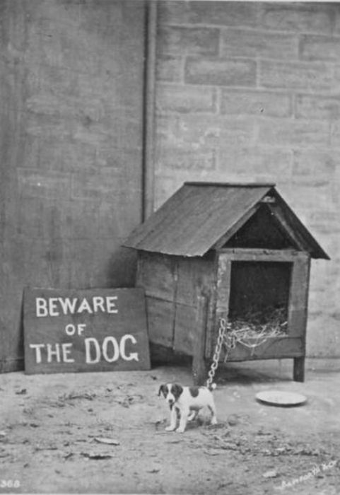 Acid Picdump (93 pics)