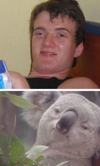 Acid Picdump (93 pics)