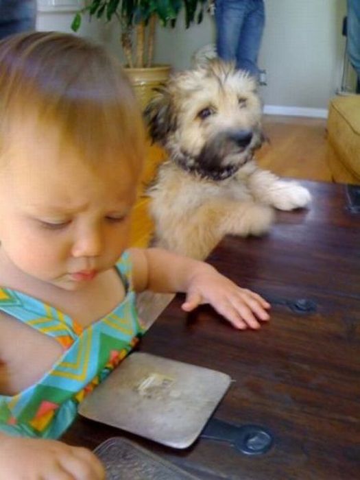 Acid Picdump (93 pics)