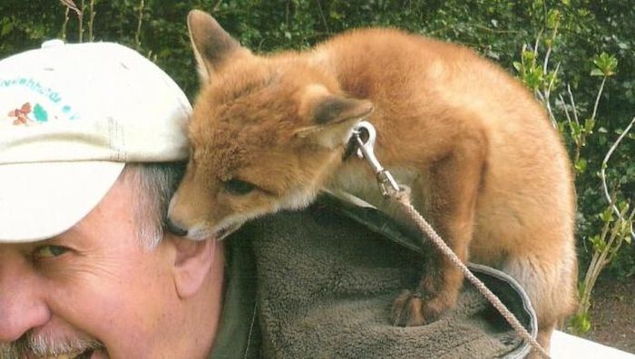 Acid Picdump (93 pics)