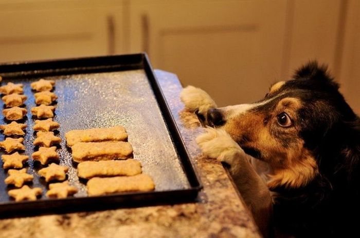 Acid Picdump (93 pics)