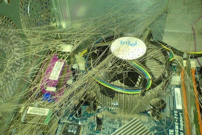 Acid Picdump (93 pics)