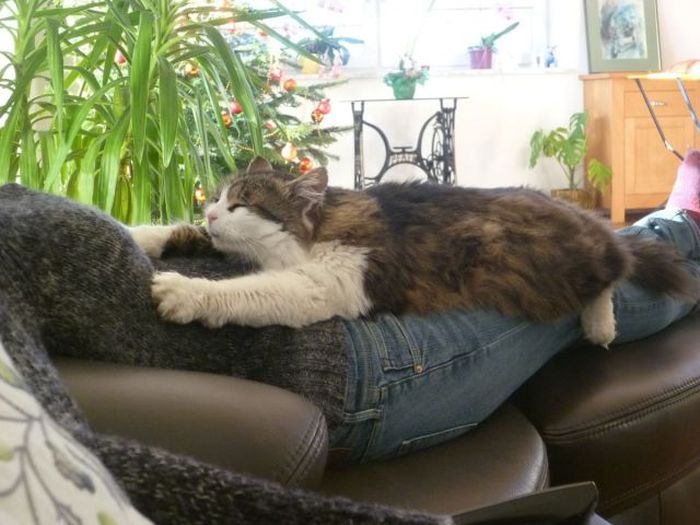 Acid Picdump (93 pics)