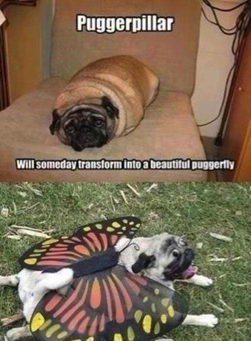 Acid Picdump (93 pics)