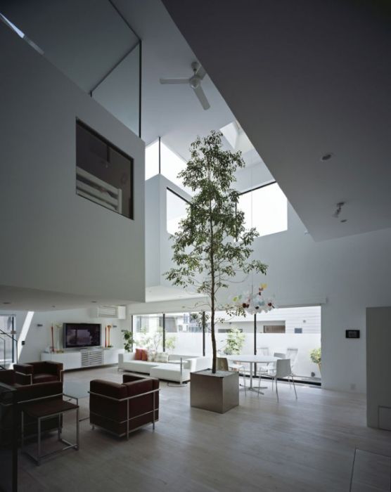 Tokyo House with Car Elevator Garage (13 pics)