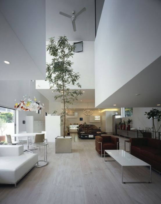 Tokyo House with Car Elevator Garage (13 pics)