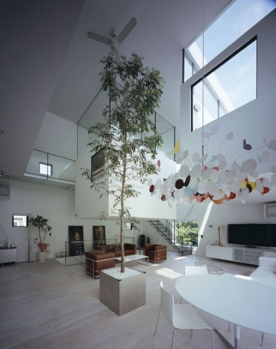 Tokyo House with Car Elevator Garage (13 pics)