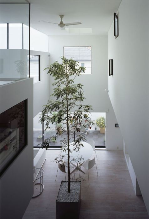 Tokyo House with Car Elevator Garage (13 pics)