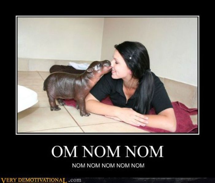 Funny Demotivational Posters (32 pics)