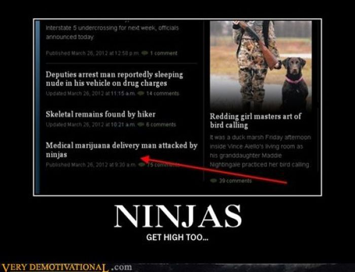 Funny Demotivational Posters (32 pics)