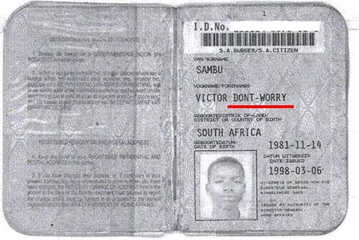 Meanwhile in South Africa (8 pics)