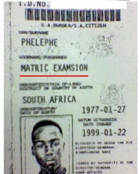 Meanwhile in South Africa (8 pics)