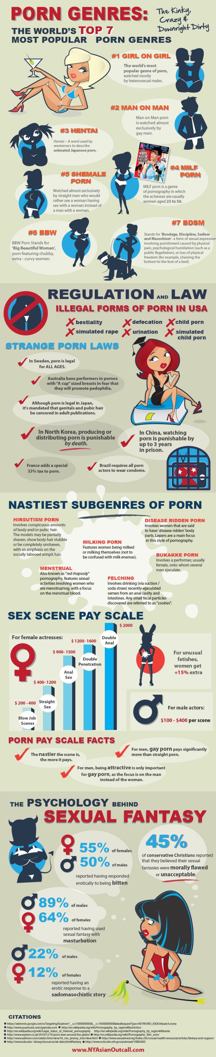 Facts About Adult Movies (infographic)