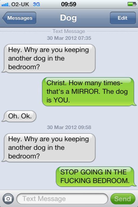 Text From Dog (18 pics)