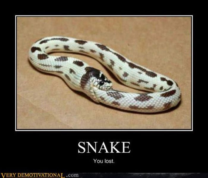 Funny Demotivational Posters (32 pics)