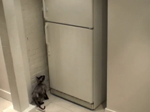 Acid Gifdump (10 gifs)