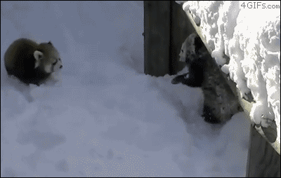 Acid Gifdump (10 gifs)