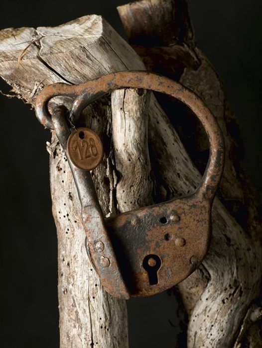 Torture Instruments of Fernand Meysonnier (74 pics)
