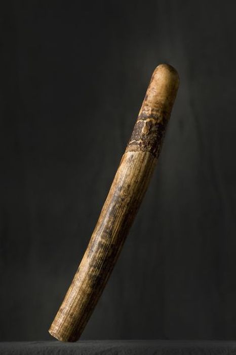 Torture Instruments of Fernand Meysonnier (74 pics)