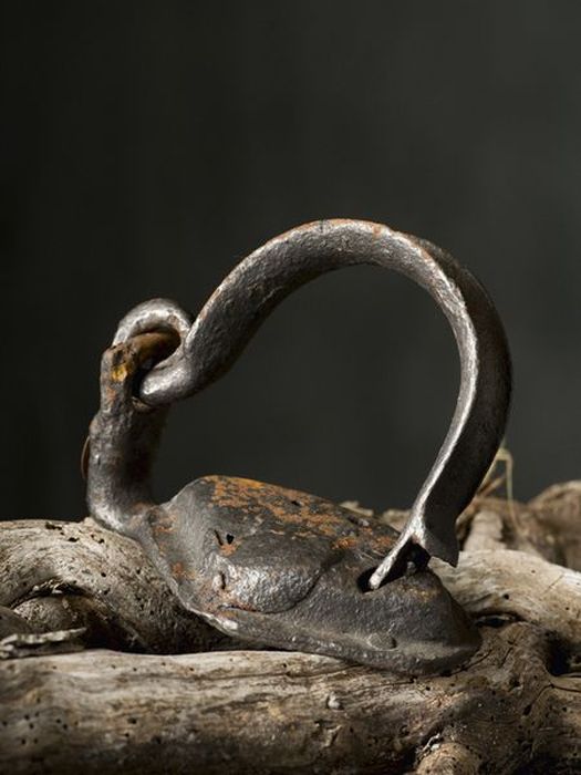 Torture Instruments of Fernand Meysonnier (74 pics)