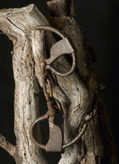 Torture Instruments of Fernand Meysonnier (74 pics)