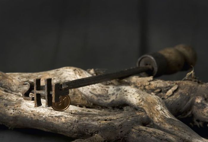 Torture Instruments of Fernand Meysonnier (74 pics)