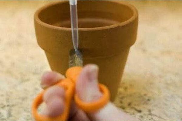 Potted Plant Dessert (20 pics)